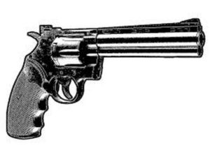 Gun Image