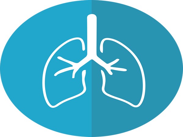 Lungs_main_22-7-20