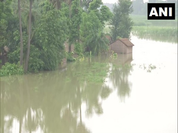 bihar-flood_fmTZoO2