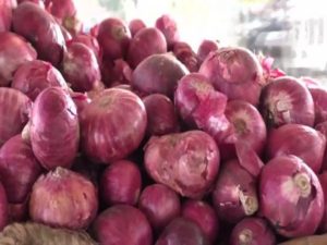 Onions_sept19_y0qB5ZA