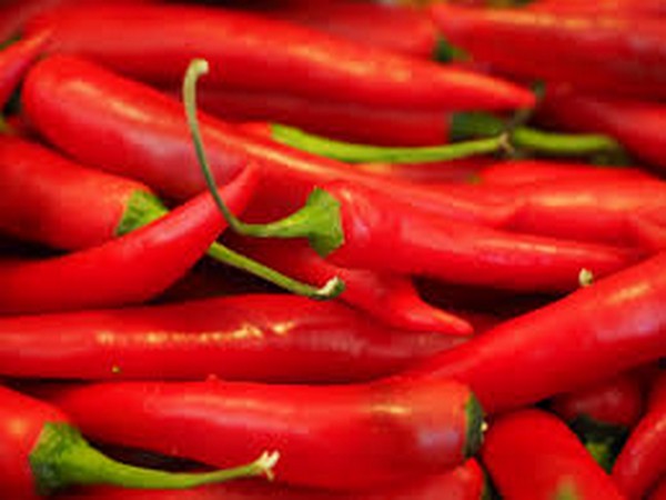 Chili_pepper