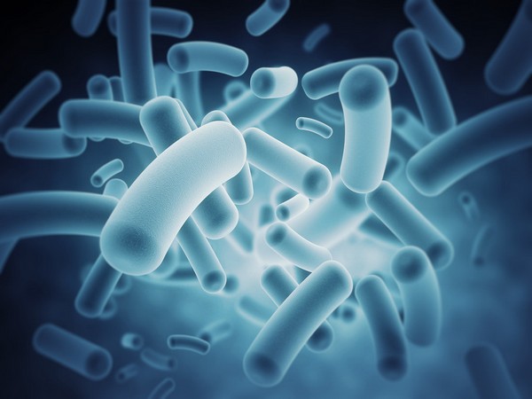 Bacteria background