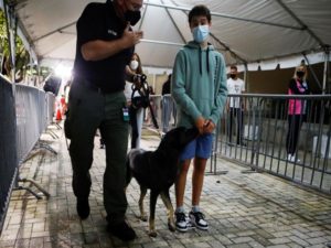 A sniffer dog trained to detect the coronavirus disease (COVID-19) scans people as they queue to enter the American Airlines Arena for a Miami Heat game in MIami