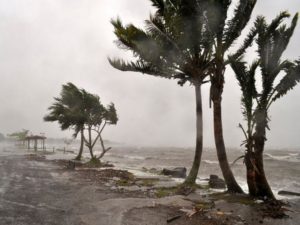 Handout of strong waves caused by Cyclone Evan washing a beach in Suva