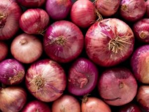 Onions_1202202181422242022021814262720220715090739