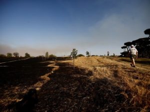 Forest fire burns in north Rome