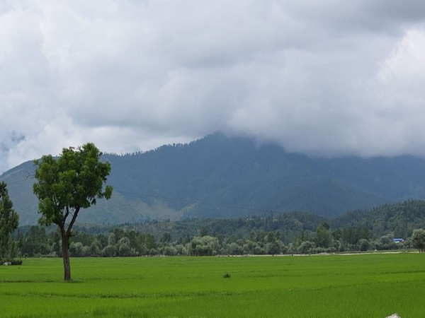 Kashmir