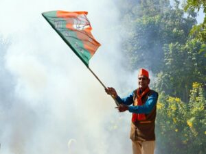 A BJP supporter waves the party flag in celebration of the party's victory in Gujarat assembly polls