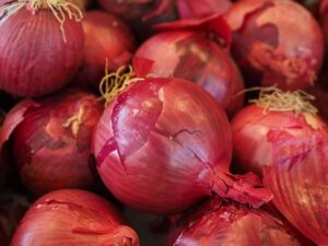 Onions-ANI-20240705132444