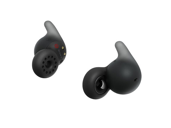 Ear Buds-ANI-20241206093435