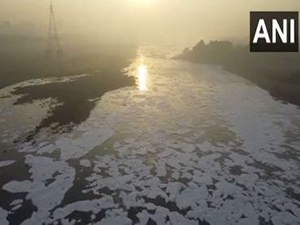 Yamuna-ANI-20241201060124