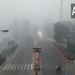 Fog-ANI-20250128034407