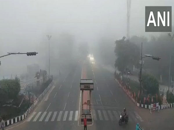 Fog-ANI-20250128034407